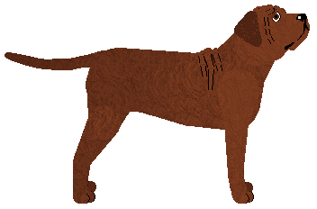 Rosestone's Honest Road to Take — “Abbi”