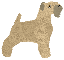 Mirror Blue's Love Token — “Rian”