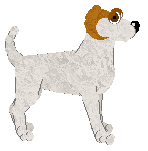 Rosestone's Synchronized Flip — “Ailani”