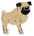 Profile image of Rosestone's Center For Friendship