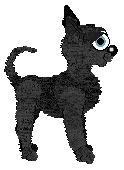 EC's Volcanic Glass — “Obsidian”