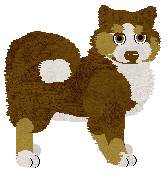 TaigaPaws Tranquil Sky at Wolf Hollow — “Nila”