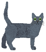 Cymophane Transparent and Pleochroic — “Iolite”