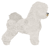 Novablue Diamond Diva — “Diva”