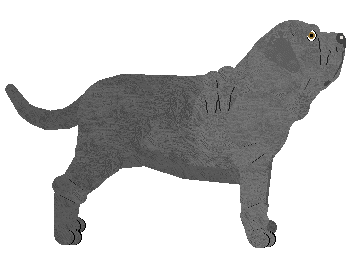 Dragosani RAISSA — “Raissa”