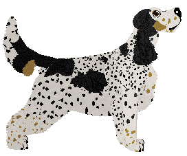 Dragosani CHORA WYOBRAŹNIA — “Pasja”