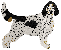 Profile image of Dragosani CHORA WYOBRAŹNIA