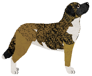 StarTrek PERFECT MAN — “Jay”