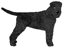 Profile image of Dragosani TAKI KAPRYS