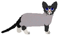 Profile image of Macabre's Blissfully Unaware