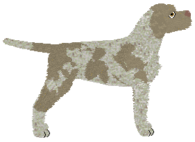 Dragosani PIERWSZA POWIEŚĆ — “Carrie”