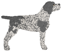 Dragosani DOLINA KLAUNOOW — “Bajka”