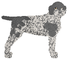 Profile image of Dragosani DOLINA KLAUNOOW