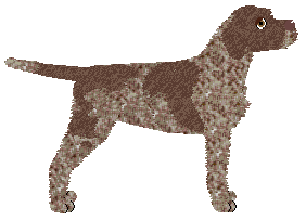 Dragosani ODDANY PASJI — “Chad”