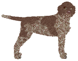 Profile image of Dragosani ODDANY PASJI