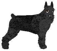 Profile image of Bearded Force Spa Day