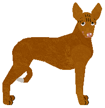 Profile image of Dragosani FANTASTIC BEAST