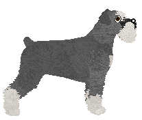 Bearded Force So Weird — “Tinder”