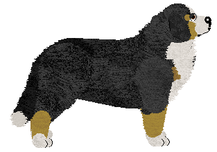 Esta at Tricolor Dream — “Tusia”