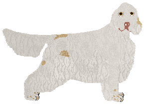 Profile image of Dragosani GASZERBRUM of My Vertical World