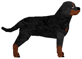 Energizing Kate — “Kate”