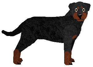 Profile image of Energizing Kate