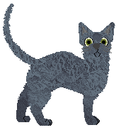 Glitterfeet's Algeria Touchshriek — “Bowie”