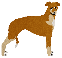 Profile image of Dragosani Z KWIATKA NA KWIATEK