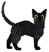 Glitterfeet's Tyre Tracks and Broken Hearts — “Bonnie”