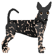 Profile image of Morphee`s STRACH SIE BAC