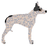 Dragosani TOTAL LOCKDOWN — “Emma”