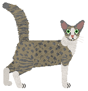 Glitterfeet's The Fabulous Moolah — “Scrappy”