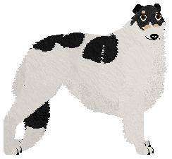 Profile image of Deithwen Nine Inch Nails