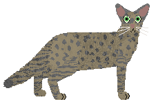 Glitterfeet's Gorilla Monsoon — “Pebble”