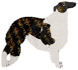 Dragosani TO NIE BYŁ FILM — “Igi”