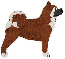 Dragosani BROAD PEAK of My Vertical World — “Broad Peak”