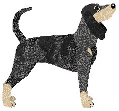 Vanilla's Wild Herb — “Marjoram”