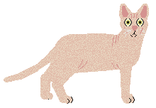 The Mob's Perceived Innocence — “Pinky”