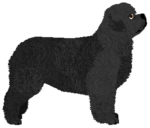 Mirror Blue's Beware the Angels — “Cascade”