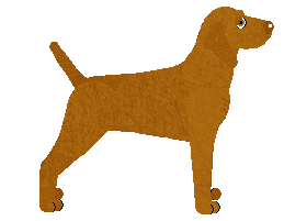 Mirror Blue's Duke of Disgrace — “Levente”