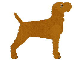 Mirror Blue's Old Soul Reprise — “Zizi”