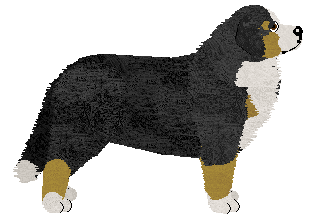 Black Week at Tricolor Dream — “Lutek”