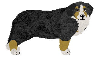 Profile image of Black Week at Tricolor Dream