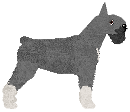 Bearded Force Field of Gold — “Kes”