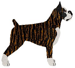 Energizing DON'T STOP ME NOW — “Lucky”