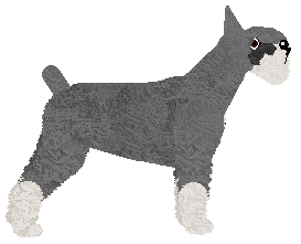 Bearded Force Legion Samobójców — “Nine”