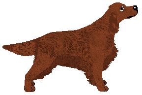 Andervale's If Not Disappear — “Alannah”