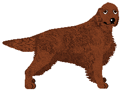 Profile image of Andervale's If Not Disappear