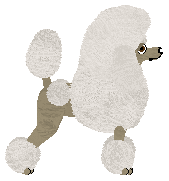 Mirabeau En Cloche — “Capucine”