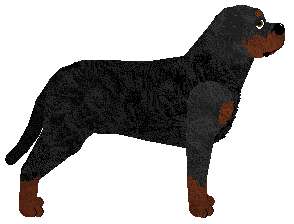 Guardian's Siostra Aresa — “Eris”